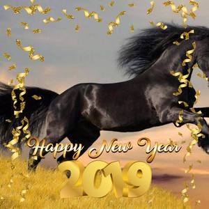 Meet your Posher, Ricky